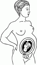 Мы ждем ребенка. Книга для будущих родителей - _15.png