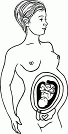 Мы ждем ребенка. Книга для будущих родителей - _16.png