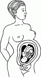 Мы ждем ребенка. Книга для будущих родителей - _17.png