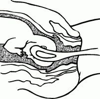 Мы ждем ребенка. Книга для будущих родителей - _18.png