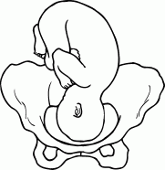 Мы ждем ребенка. Книга для будущих родителей - _19.png