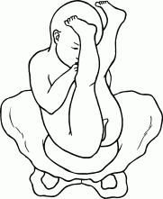 Мы ждем ребенка. Книга для будущих родителей - _20.png