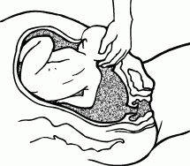 Мы ждем ребенка. Книга для будущих родителей - _22.png