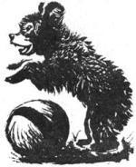 Питомцы зоопарка - i_022.jpg