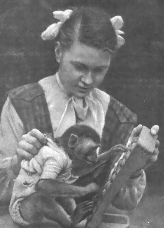 Питомцы зоопарка - i_029.jpg