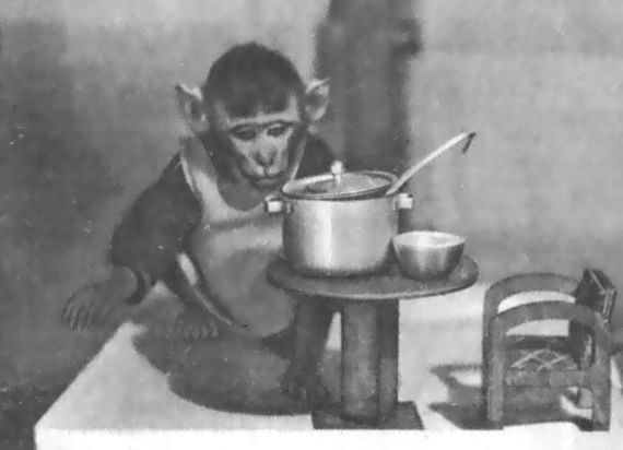 Питомцы зоопарка - i_030.jpg