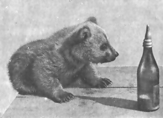 Питомцы зоопарка - i_034.jpg