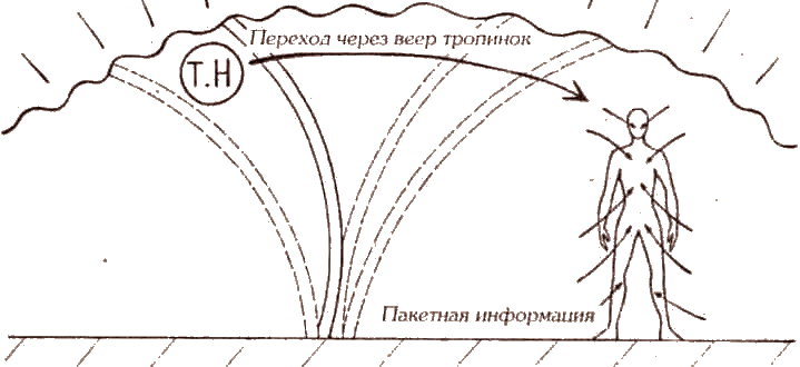 Душа. Судьба. Предопределенность. - i_007.png