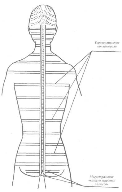 Заповедник здоровья - i_023.jpg