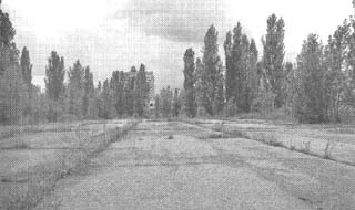 Чернобыль, Припять, далее нигде… - i_091.jpg