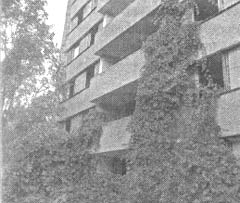 Чернобыль, Припять, далее нигде… - i_098.jpg