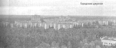 Чернобыль, Припять, далее нигде… - i_101.jpg