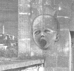 Чернобыль, Припять, далее нигде… - i_102.jpg