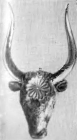 Шлиман. "Мечта о Трое" - i_016.jpg