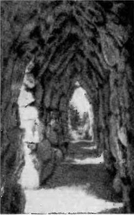 Шлиман. "Мечта о Трое" - i_019.jpg