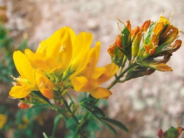 Смотрю и стройнею - i_019.jpg