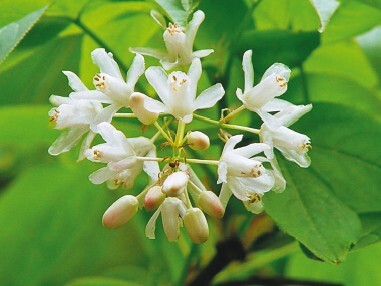 Смотрю и стройнею - i_020.jpg