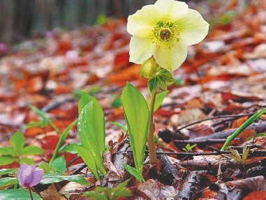 Смотрю и стройнею - i_021.jpg