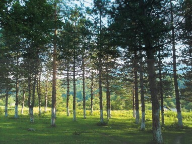 Смотрю и стройнею - i_023.jpg