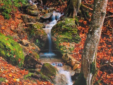 Смотрю и стройнею - i_024.jpg