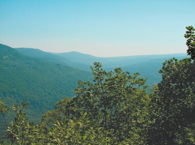 Смотрю и стройнею - i_026.jpg