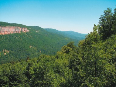 Смотрю и стройнею - i_030.jpg