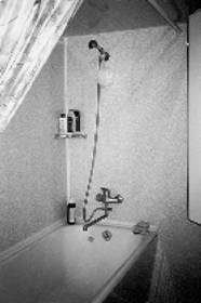 Деревянные дома, бани, печи и камины, гараж, теплица, изгороди, дачная мебель - any2fbimgloader30.jpg