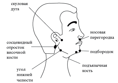 Экстренная помощь при травмах, болевых шоках и воспалениях. Опыт работы в чрезвычайных ситуациях - _094.png