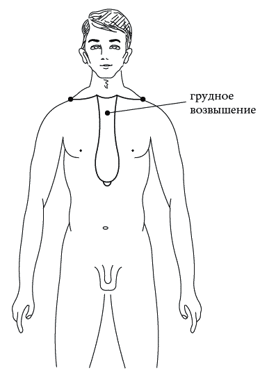 Экстренная помощь при травмах, болевых шоках и воспалениях. Опыт работы в чрезвычайных ситуациях - _096.png