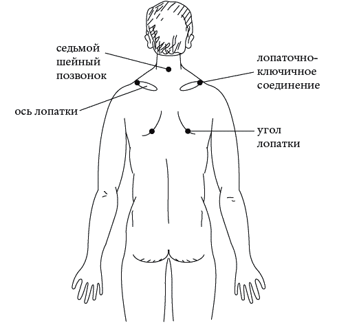 Экстренная помощь при травмах, болевых шоках и воспалениях. Опыт работы в чрезвычайных ситуациях - _097.png