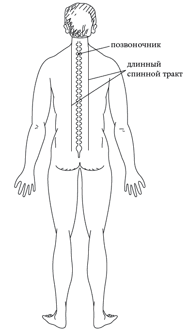 Экстренная помощь при травмах, болевых шоках и воспалениях. Опыт работы в чрезвычайных ситуациях - _099.png