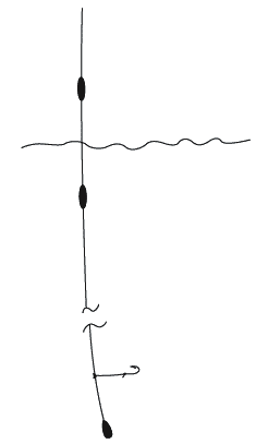 Энциклопедия современной рыбалки. Ловля рыбы поплавочной удочкой - _106.png