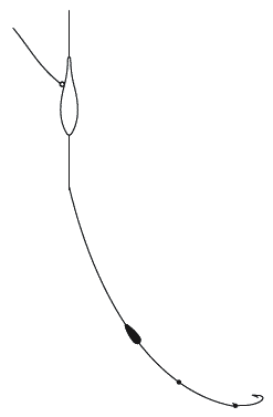 Энциклопедия современной рыбалки. Ловля рыбы поплавочной удочкой - _222.png