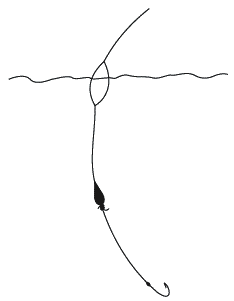Энциклопедия современной рыбалки. Ловля рыбы поплавочной удочкой - _276.png
