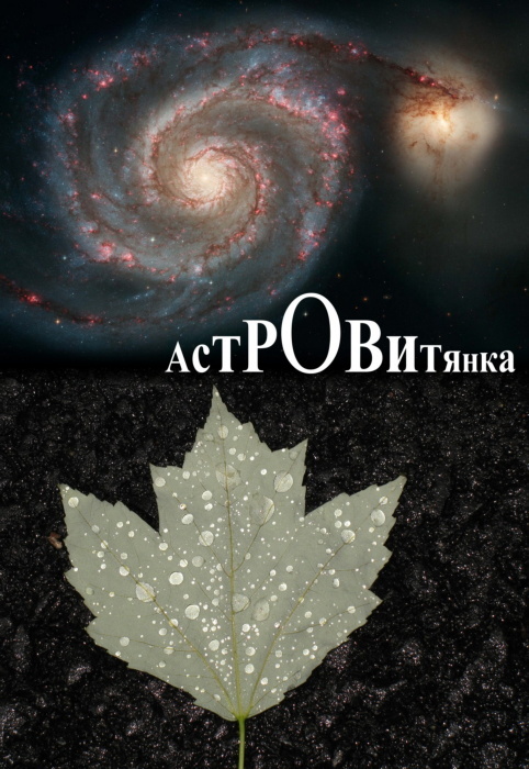 Теория катастрофы - cover2.jpg