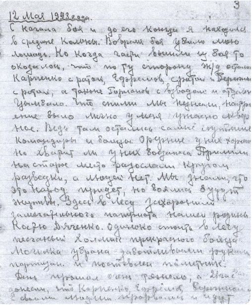 Партизанская война на Украине. Дневники командиров партизанских отрядов и соединений. 1941–1944 - i_019.jpg