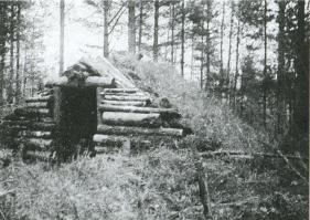 Лесные солдаты. Партизанская война на Северо-Западе СССР. 1941-1944 - i_018.jpg