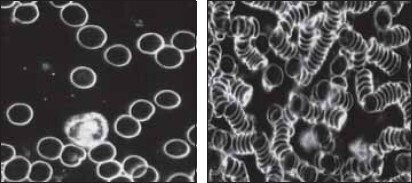 Живая и мертвая вода – новейшее лекарство современности - i_020.jpg