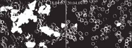 Живая и мертвая вода – новейшее лекарство современности - i_021.jpg