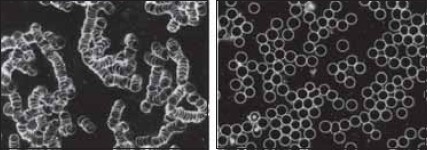 Живая и мертвая вода – новейшее лекарство современности - i_023.jpg