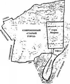 Космический код. Генная инженерия богов - pic_76.jpg