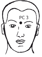 Гимнастика Бодхидхармы - i_017.png