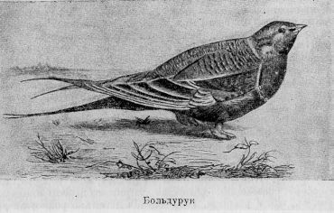 Из Зайсана через Хами в Тибет и на верховья Желтой реки - i_004.jpg