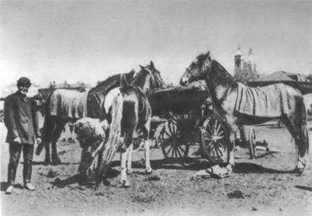 Повседневная жизнь Петербурга на рубеже XIX— XX веков; Записки очевидцев - _57.jpg