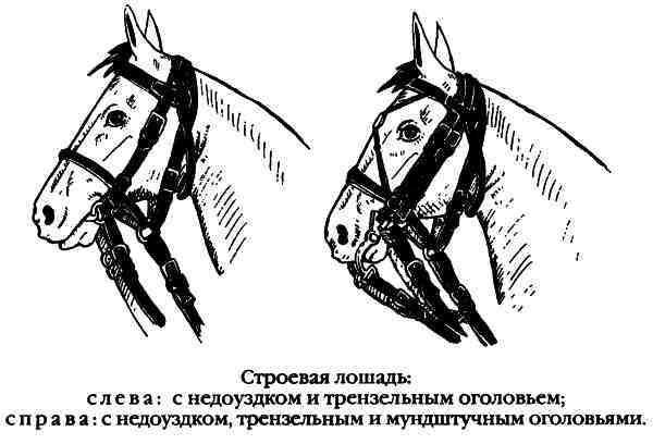 Повседневная жизнь русского гусара в царствование императора Александра I - i_056.jpg