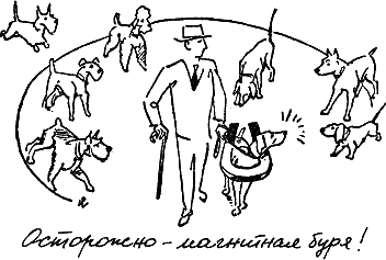 400 советов любителю собак - i_267.png