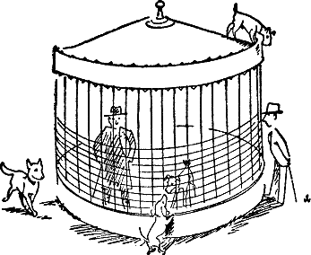 400 советов любителю собак - i_268.png