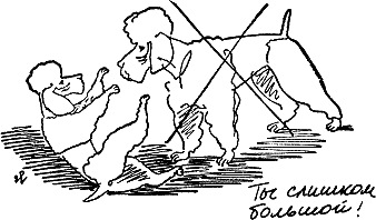 400 советов любителю собак - i_269.png