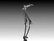 Анимация персонажей в 3D Studio MAX - _162.jpg