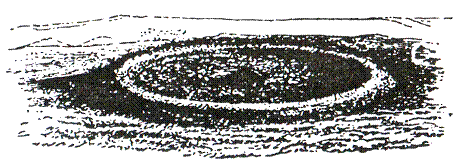 Друиды - pic_37.png